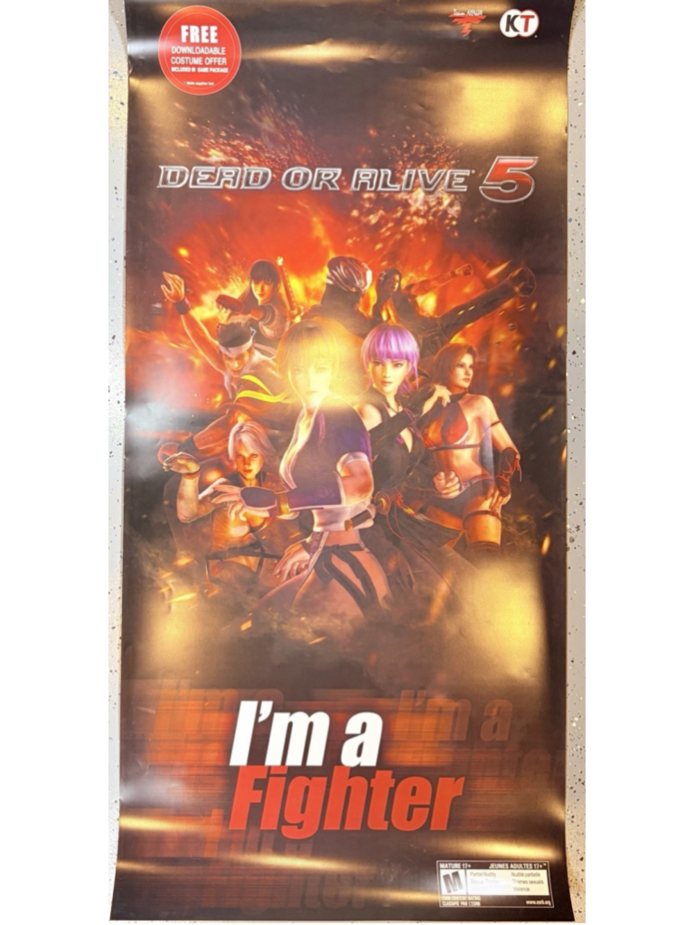 Dead or Alive 5 Retail Promo Poster 28x58 I’m a Fighter DOA5 Team Ninja